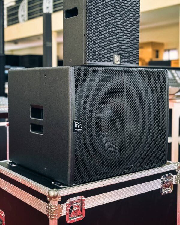 MARTIN AUDIO CAIXA XP12 & SUB XP118 - Image 2